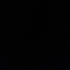 Meet your Posher, Samuel